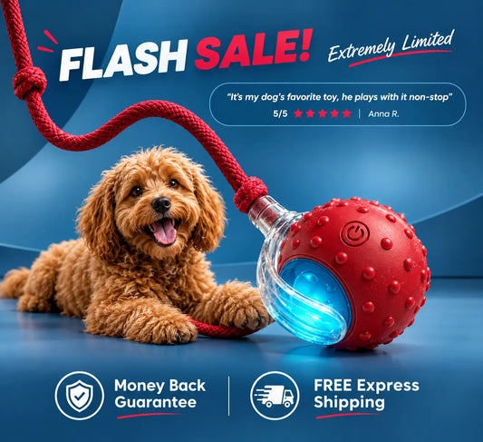 AUSLITH RollPup Interactive Auto Moving Pet Ball