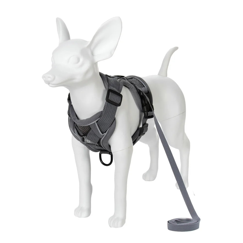 AUSLITH SafeWalk – Reflective Adjustable Cat Harness & Leash Set