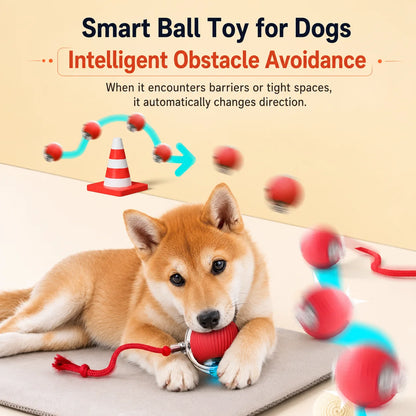 AUSLITH RollPup – Interactive Auto-Moving Dog Ball