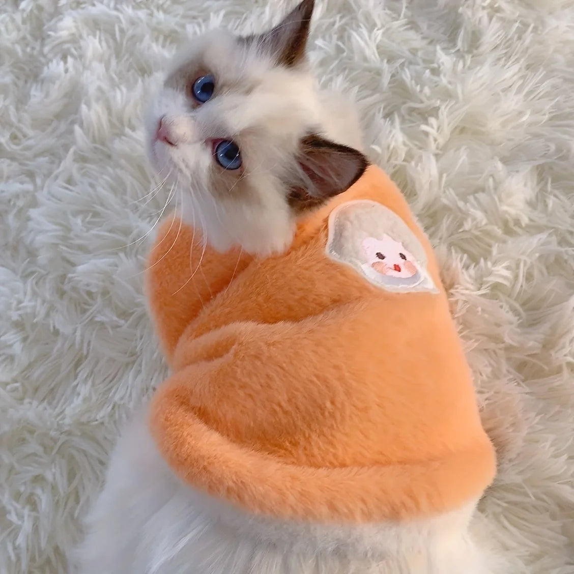AUSLITH KnitPurr  Warm Winter Cat Sweater for Kittens & Small Cats