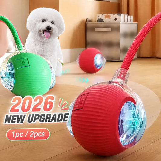 AUSLITH RollPup – Interactive Auto-Moving Dog Ball