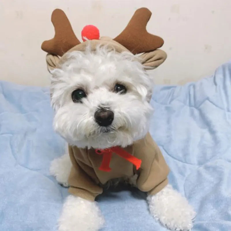 AUSLITH PupHood Warm Dog Hoodie for Small Dogs & Puppies