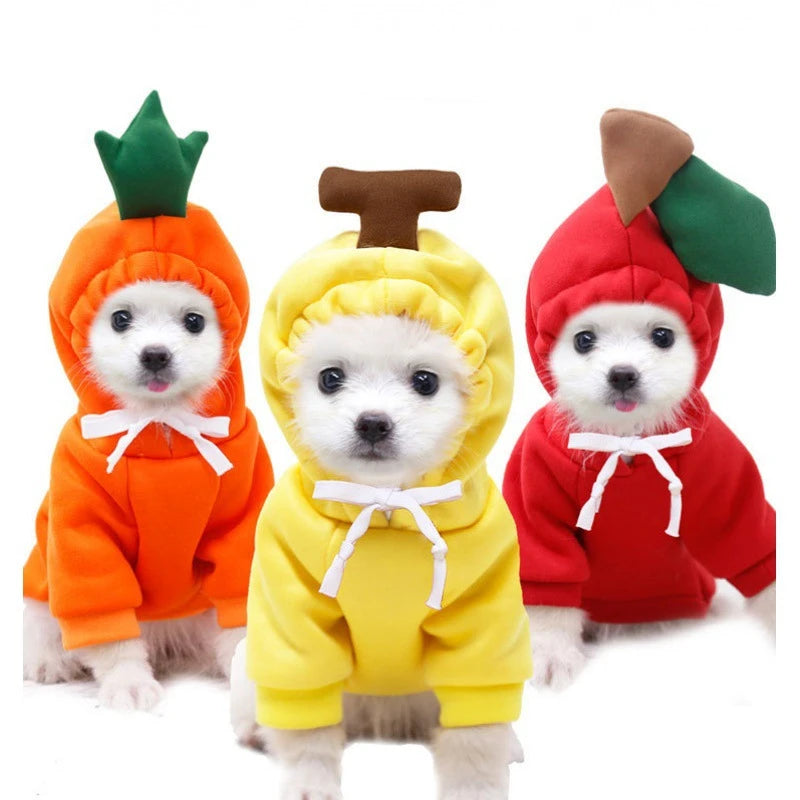 AUSLITH PupHood Warm Dog Hoodie for Small Dogs & Puppies