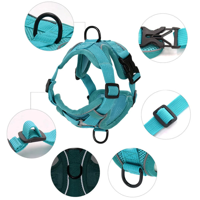 AUSLITH SafeWalk – Reflective Adjustable Cat Harness & Leash Set