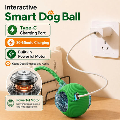 AUSLITH RollPup – Interactive Auto-Moving Dog Ball