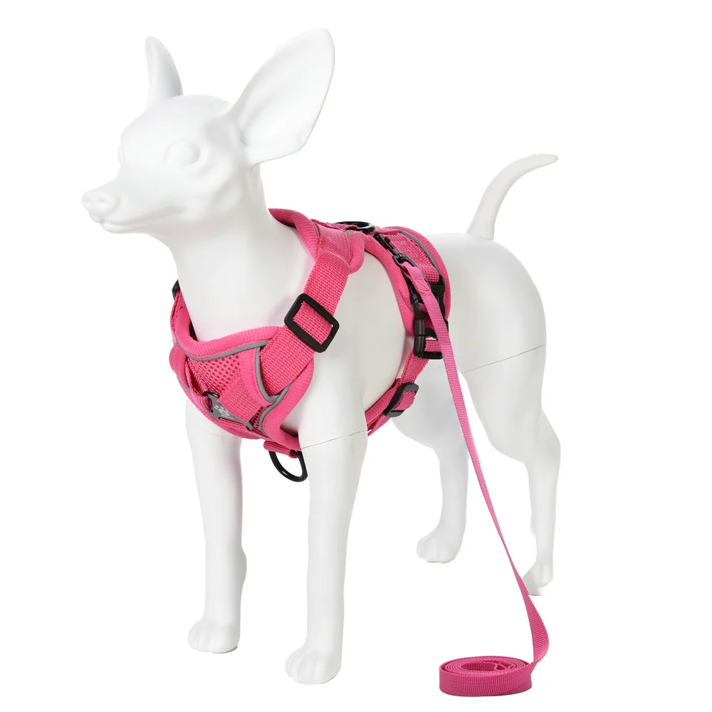 AUSLITH SafeWalk – Reflective Adjustable Cat Harness & Leash Set