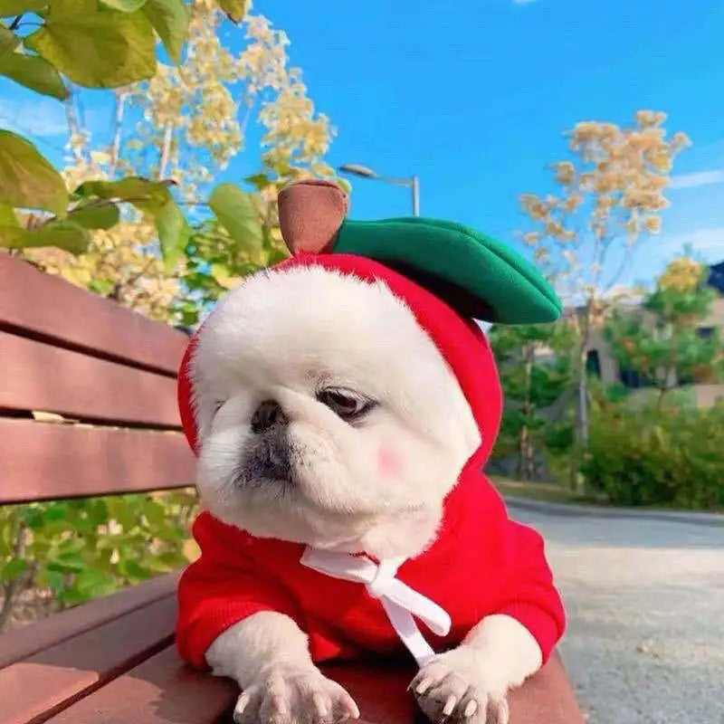 AUSLITH PupHood Warm Dog Hoodie for Small Dogs & Puppies