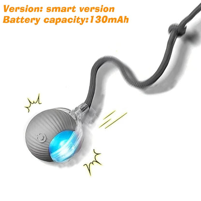 AUSLITH RollPup – Interactive Auto-Moving Dog Ball