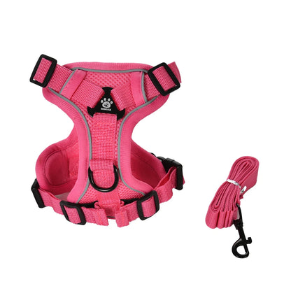 AUSLITH SafeWalk – Reflective Adjustable Cat Harness & Leash Set