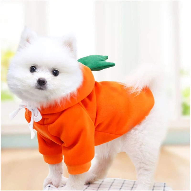 AUSLITH PupHood Warm Dog Hoodie for Small Dogs & Puppies