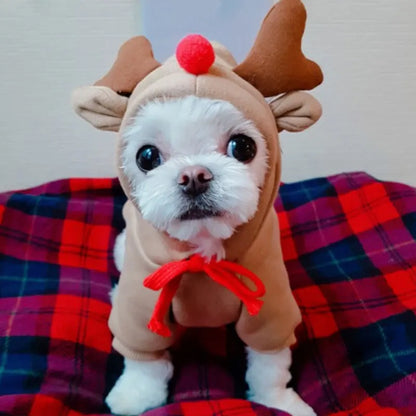 AUSLITH PupHood Warm Dog Hoodie for Small Dogs & Puppies