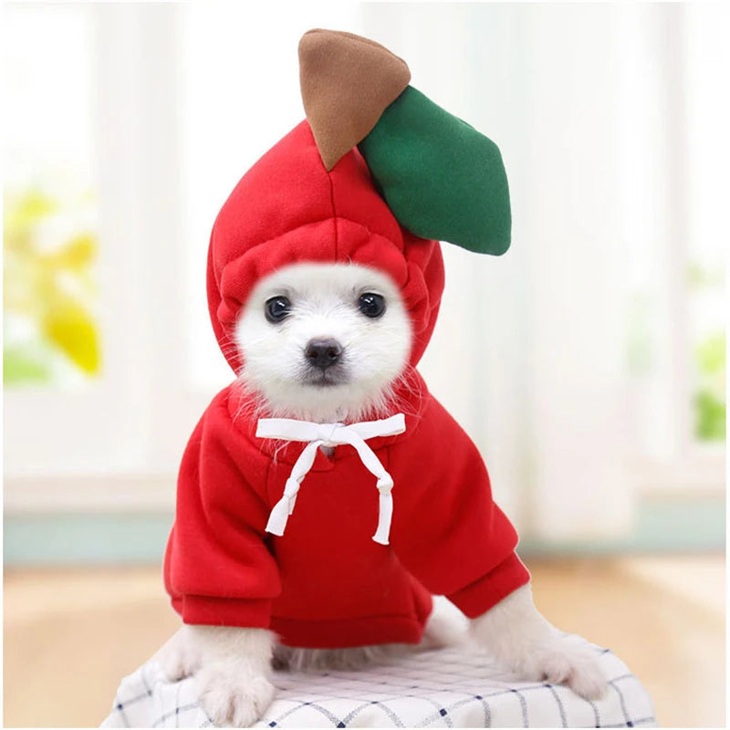 AUSLITH PupHood Warm Dog Hoodie for Small Dogs & Puppies