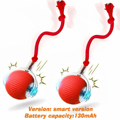 AUSLITH RollPup – Interactive Auto-Moving Dog Ball