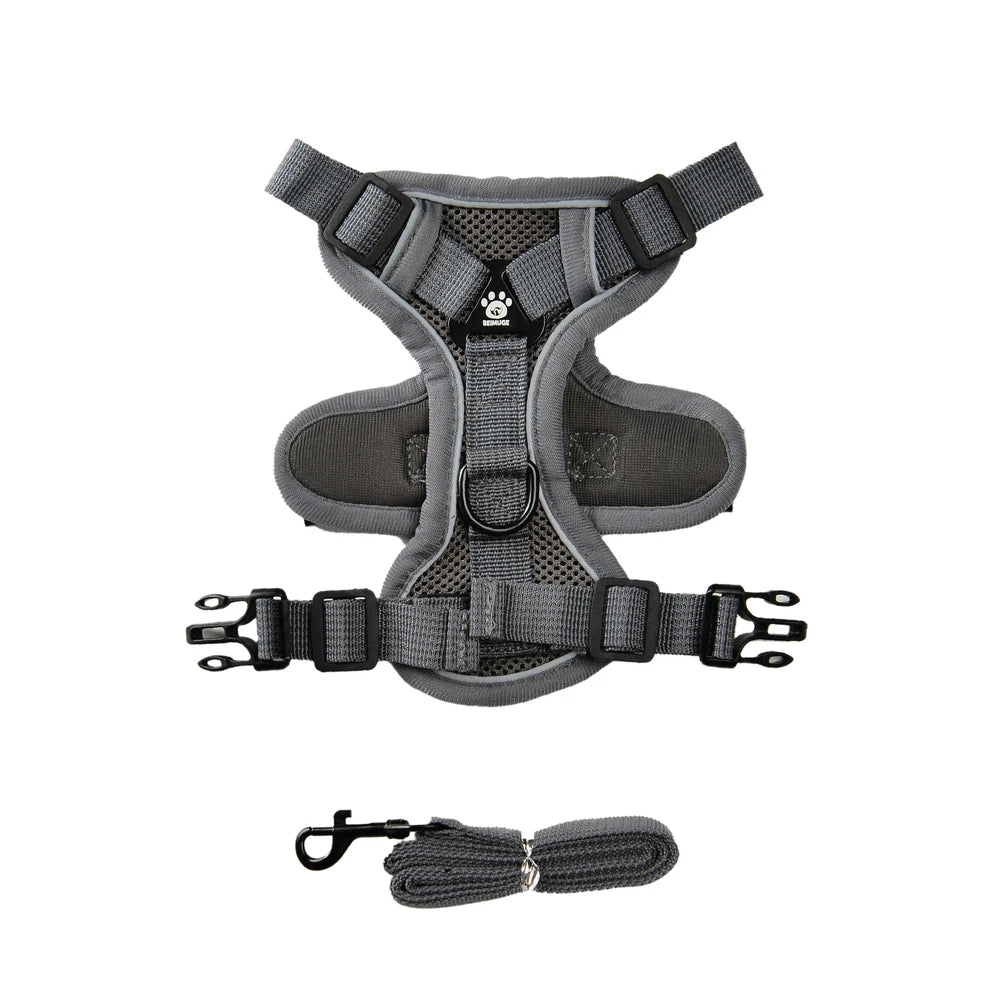 AUSLITH SafeWalk – Reflective Adjustable Cat Harness & Leash Set