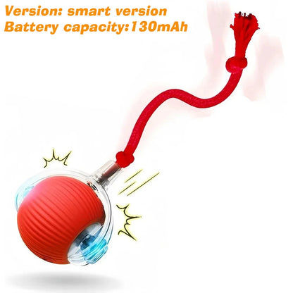 AUSLITH RollPup – Interactive Auto-Moving Dog Ball