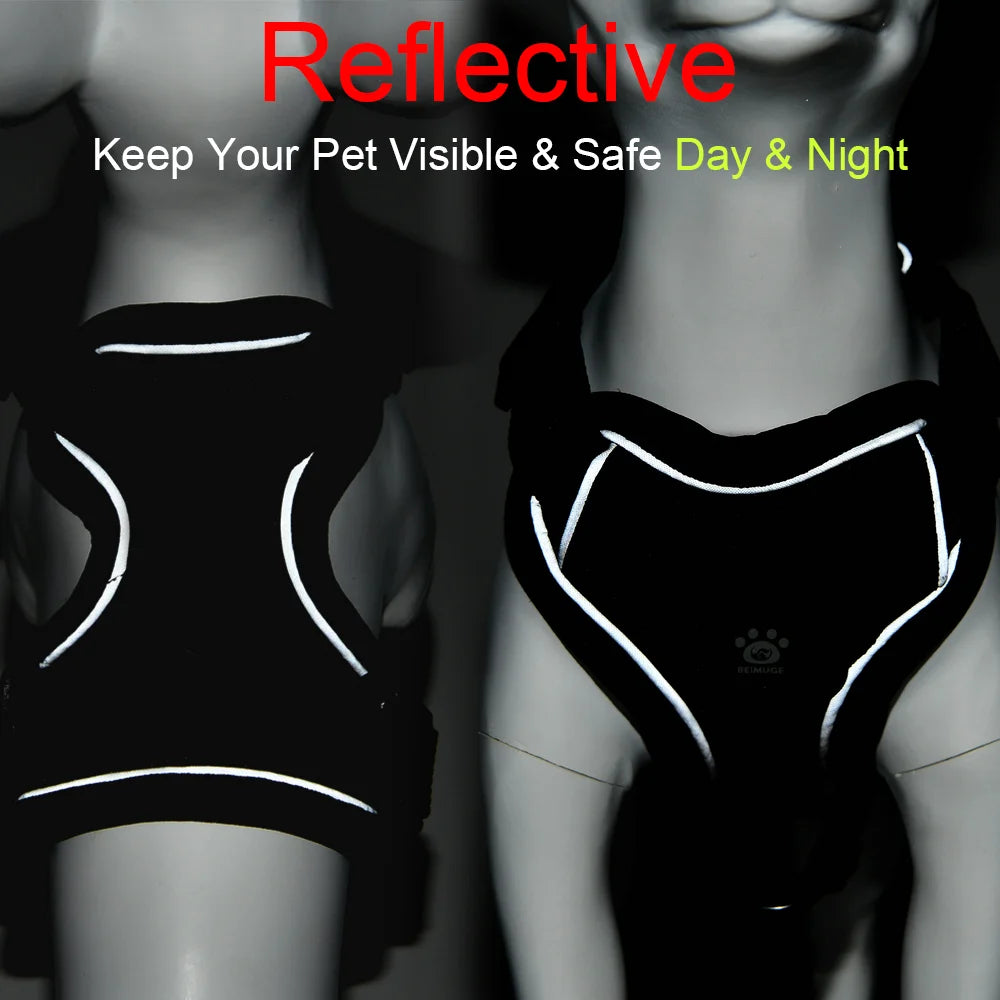 AUSLITH SafeWalk – Reflective Adjustable Cat Harness & Leash Set