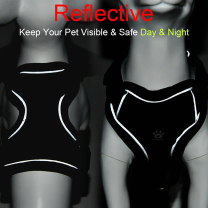 AUSLITH SafeWalk – Reflective Adjustable Cat Harness & Leash Set