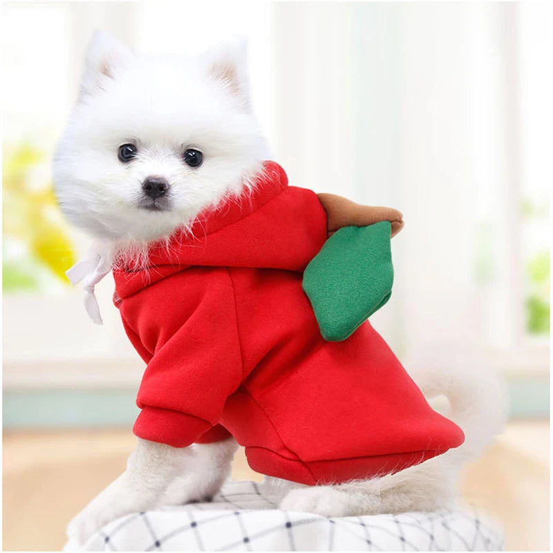 AUSLITH PupHood Warm Dog Hoodie for Small Dogs & Puppies