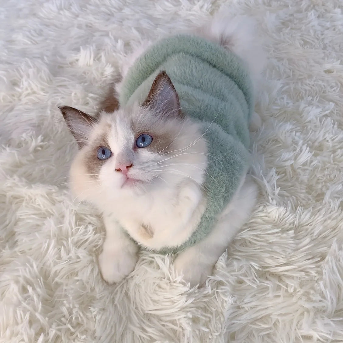 AUSLITH KnitPurr  Warm Winter Cat Sweater for Kittens & Small Cats