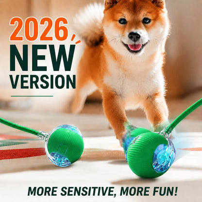 AUSLITH RollPup – Interactive Auto-Moving Dog Ball