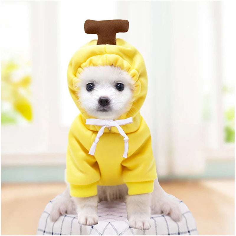 AUSLITH PupHood Warm Dog Hoodie for Small Dogs & Puppies
