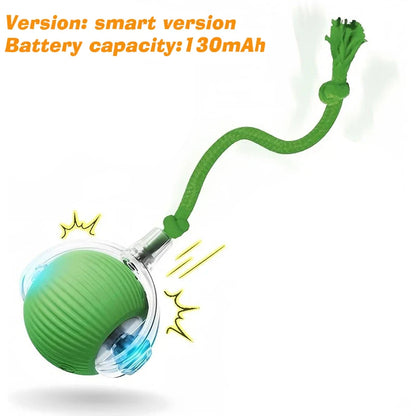 AUSLITH RollPup – Interactive Auto-Moving Dog Ball
