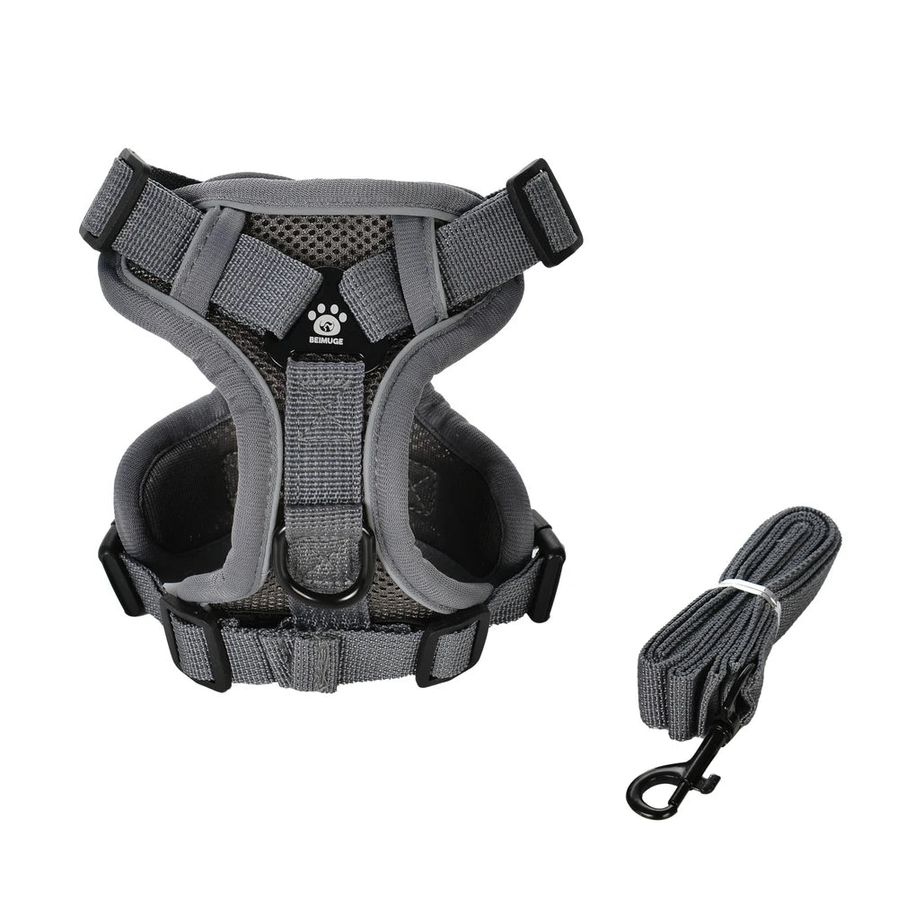 AUSLITH SafeWalk – Reflective Adjustable Cat Harness & Leash Set