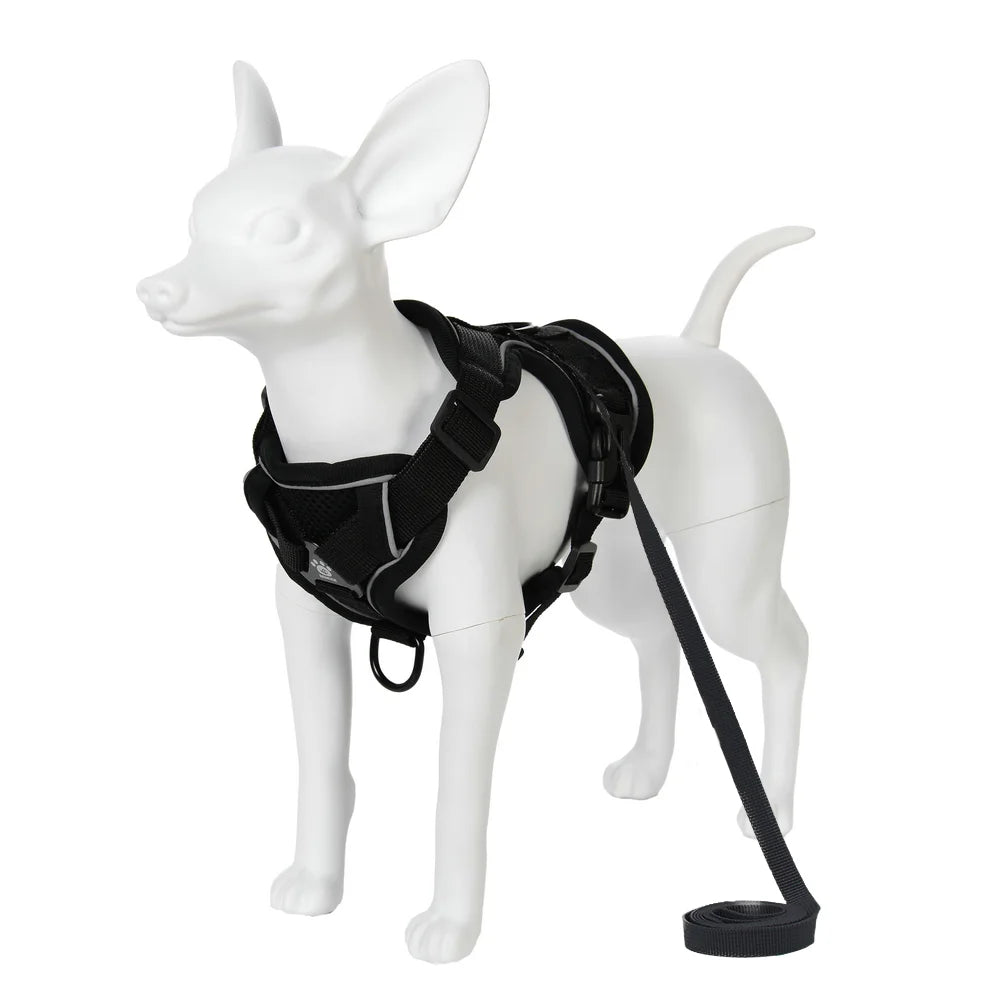AUSLITH SafeWalk – Reflective Adjustable Cat Harness & Leash Set