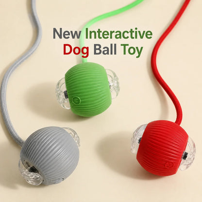 AUSLITH RollPup – Interactive Auto-Moving Dog Ball